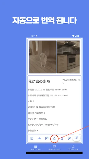 Multi Language job board(chat) Screenshot 3
