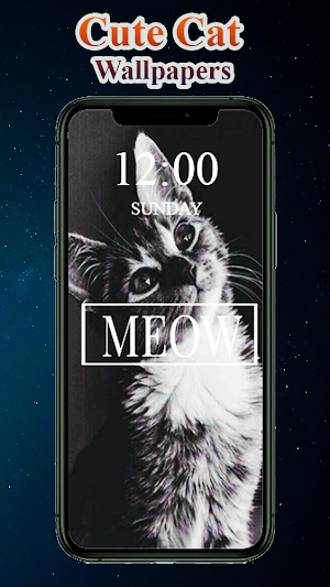 Cute Cat Wallpapers Screenshot 0