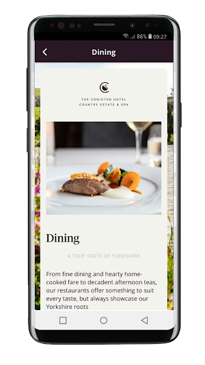 Coniston Hotel Screenshot 3