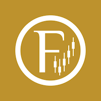 FI SYSTEM