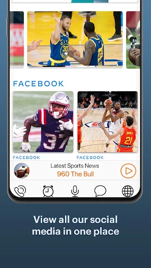 960 The Bull Screenshot 3