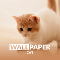 Aesthetic Cat HD Wallpaper