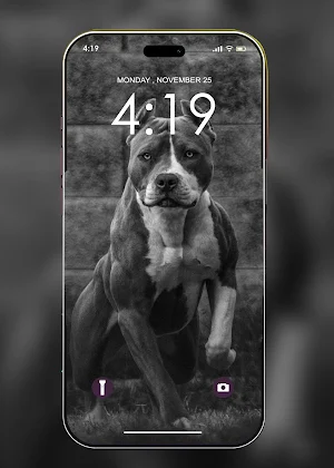 Pitbull Wallpaper HD Screenshot 1