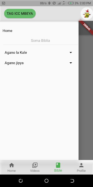 TAG ICC Screenshot 2