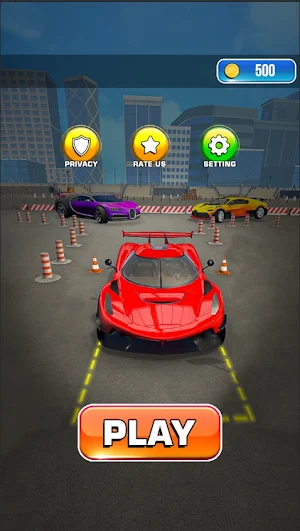 Winner Parking Cars Screenshot 3