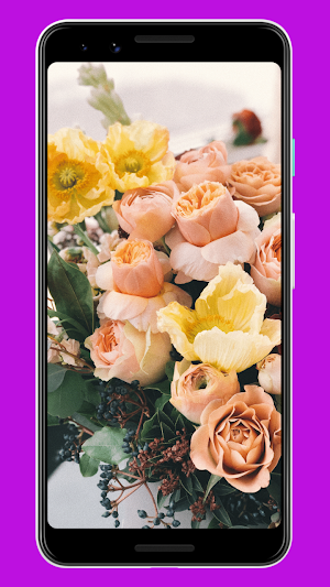 Flowers Wallpaper & Background Screenshot 3