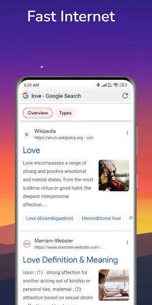 Internet Browser Pro Screenshot 3