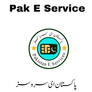 Pak E Services Screenshot 2