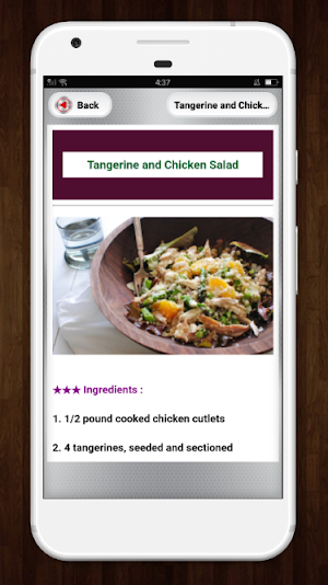 Salad Recipes Screenshot 1