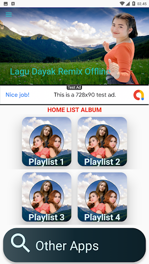 Lagu Dayak Remix Offline Screenshot 2