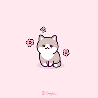 카카오톡 테마 - 핑크 그레이 꽃냥이