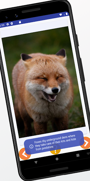 Fox Images and Facts Screenshot 2