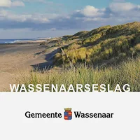 Wassenaarse Slag