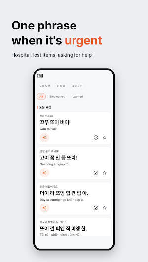 Travel Vietnamese for Koreans Screenshot 2