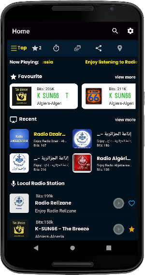 Radio Chaine 2: راديو جزائري Screenshot 0