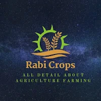 Rabi Crops All About Farming