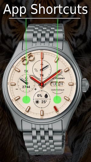 Realistic Classic Watch Face Screenshot 2