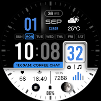 ML2U 296 Watch Face