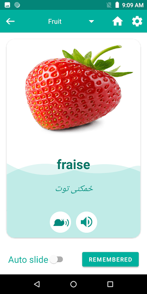 Pashto French Translator Screenshot 3