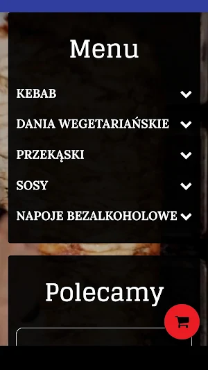 Bizon Kebab Screenshot 0