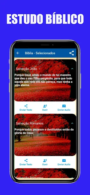 Bíblia Sagrada Áudio Screenshot 2