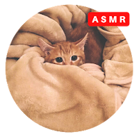Cat Asmr Cat Sounds