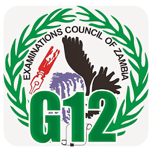 G12 ECZ Past Papers Screenshot 0