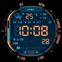 Weather Dual Time Watch 002