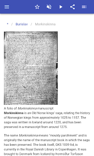 Icelandic sagas Screenshot 2