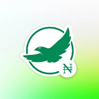 Fast Naira Loan: Naija NG Tips