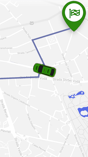 Tudo Go Driver Screenshot 2