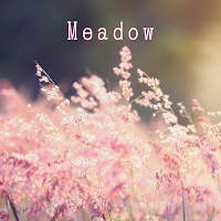 Meadow Theme +HOME