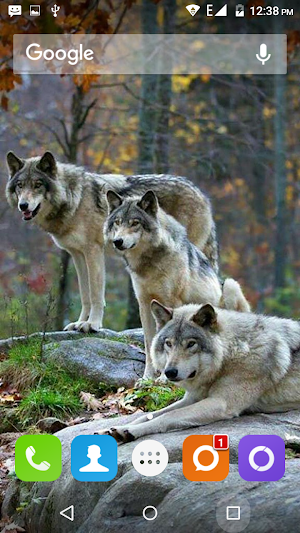 Wolf Hd Wallpaper Screenshot 2