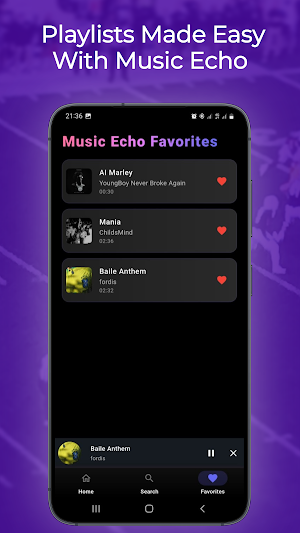 Music Echo - Echo Music Screenshot 1