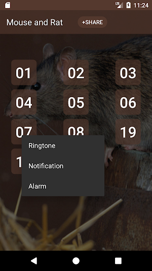 Mouse and Rat (Animal) sounds Screenshot 1