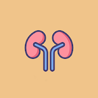 Kidney Friendly Recipes - Kidney Health Diet