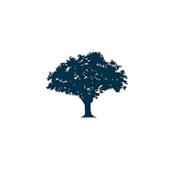 CheinaApp-pedidos