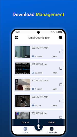 Downloader for Tumblr Screenshot 2