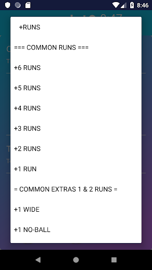 Cricket Umpire Over & Run Counter Screenshot 2