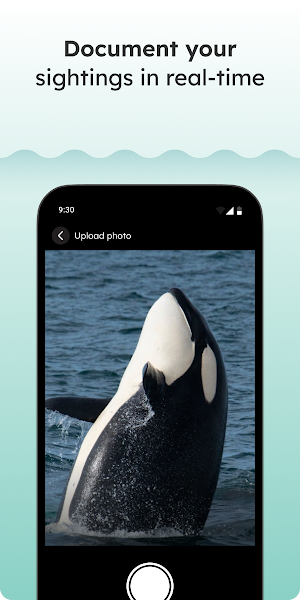 Jalchar Screenshot 3