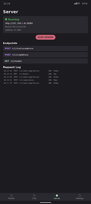 LLM Server — On-Device AI API Screenshot 2