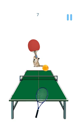Cat Tennis Master Screenshot 2