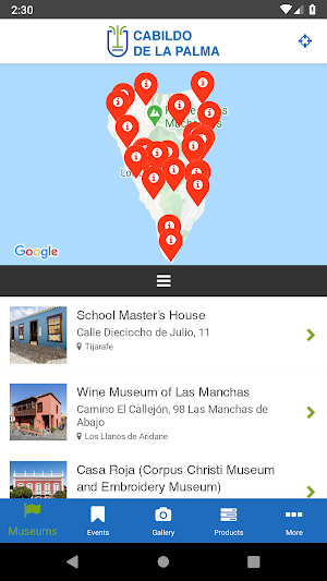 Museums and Events La Palma Screenshot 1