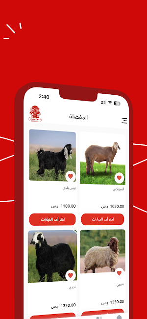 مشعل للذبائح Screenshot 1