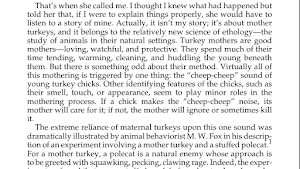 Influence Screenshot 1