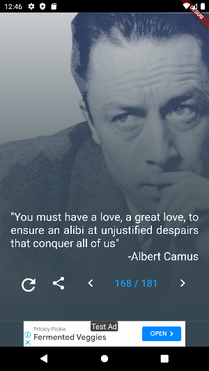 Albert Camus Quotes Screenshot 0