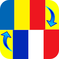 French - Romanian Translator