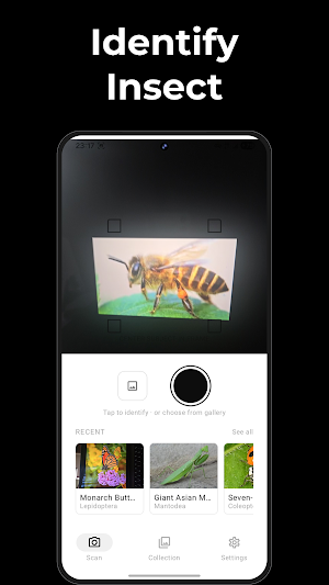 BugFinder: Insect Identifier Screenshot 1