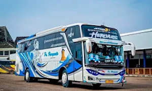 Livery Bussid PO Haryanto Screenshot 1
