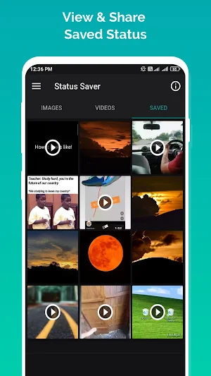 Save Photo & Video Status Screenshot 3